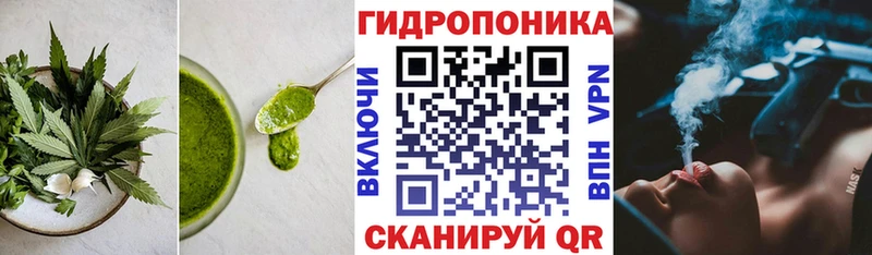 Купить закладки  Киржач  Cannafood конопля 