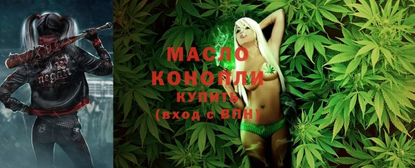 дмт Гусев
