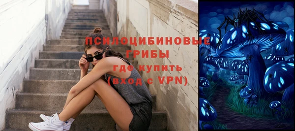 дмт Дмитровск