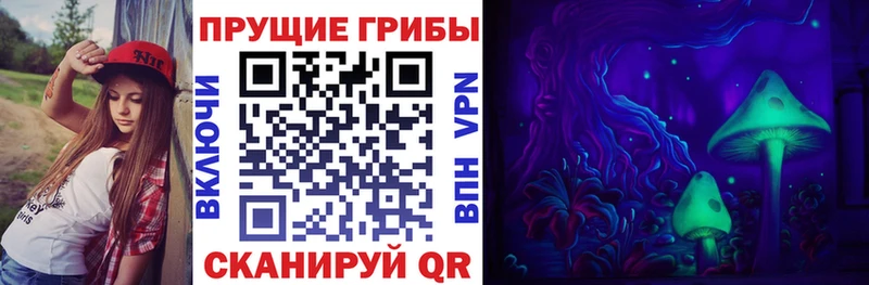 Галлюциногенные грибы GOLDEN TEACHER Купить закладки Киржач